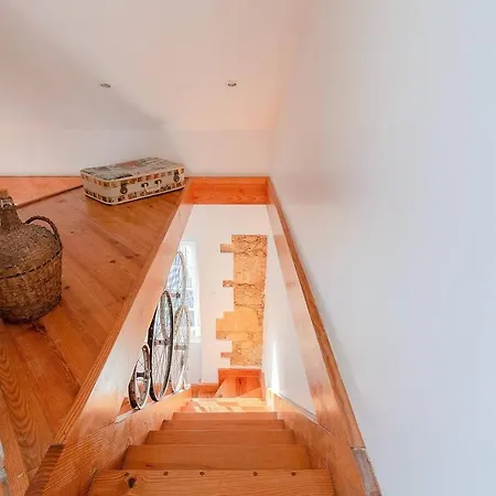 Renovated In Apartman